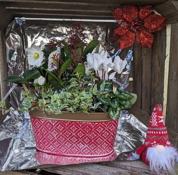 Composition-Noël-jardinière-rouge-de-25-cm