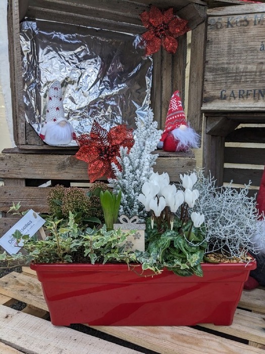 Compiosition-Noël-jardinère-rouge-de-40-cm